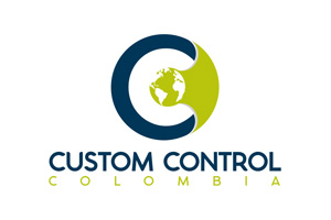 Custom Control